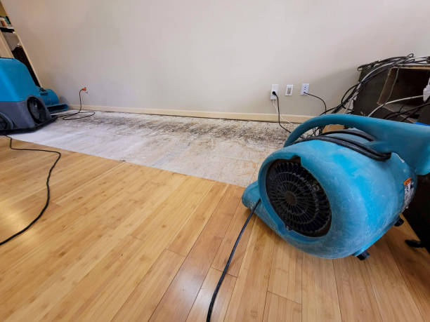 Reliable Crawl Space Water Removal contractor in New Douglas, IL by Hirex Water Damage