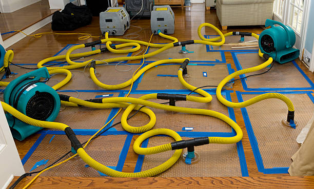 Professional Crawl Space Water Removal technician working in New Douglas, IL